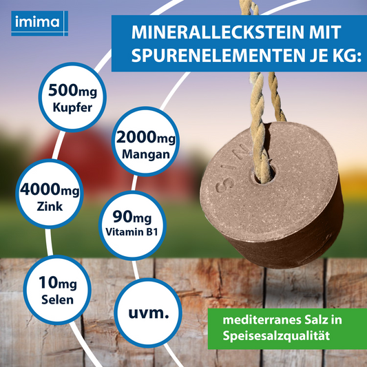 EquiVital PLUS minerale liksteen, 3kg