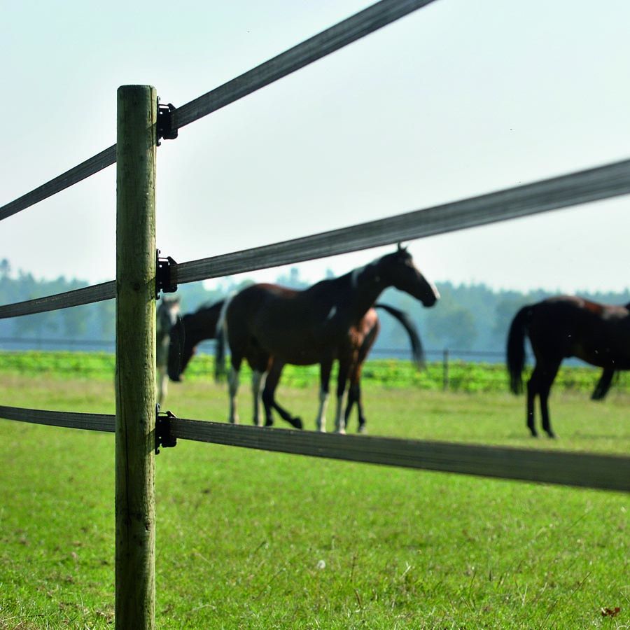 PowerLine ribbon (200 meters)
