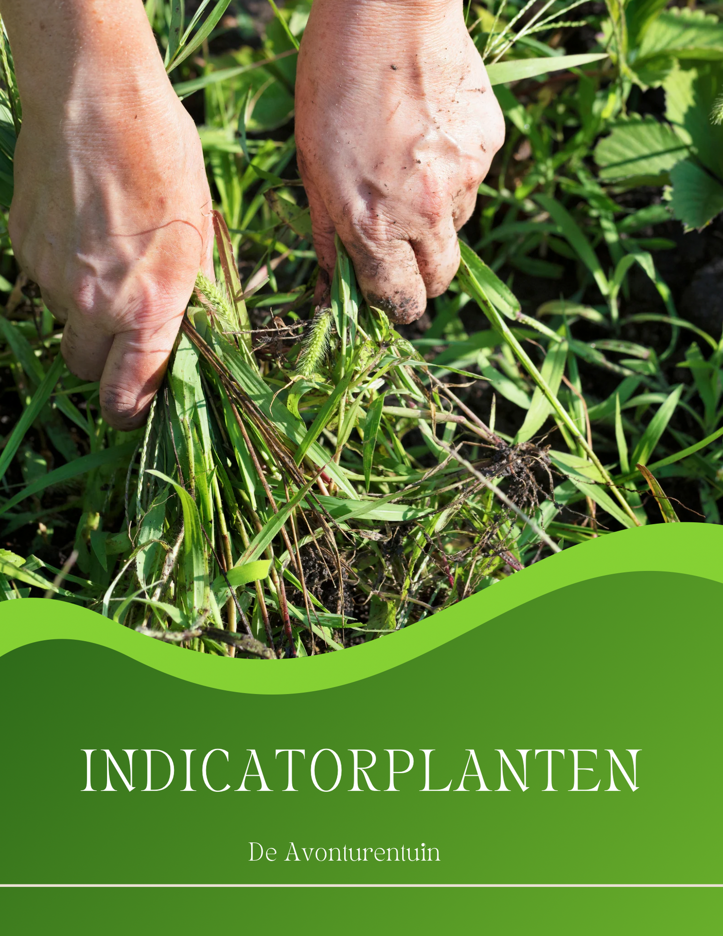 E-book - Indicatorplanten