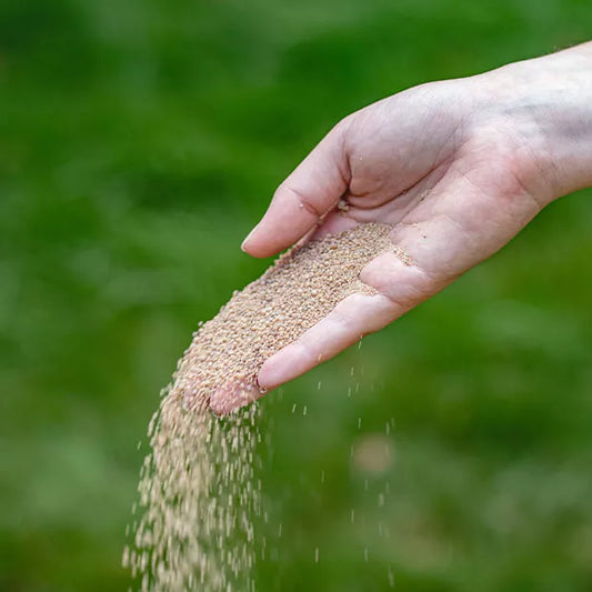 Vitalstyle Weidekalk (20kg)