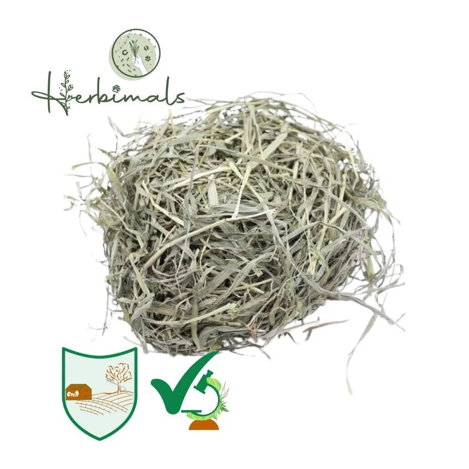 Herbimals Gerstengras - Grof