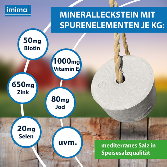 BIOTINE + plus minerale liksteen, 3kg