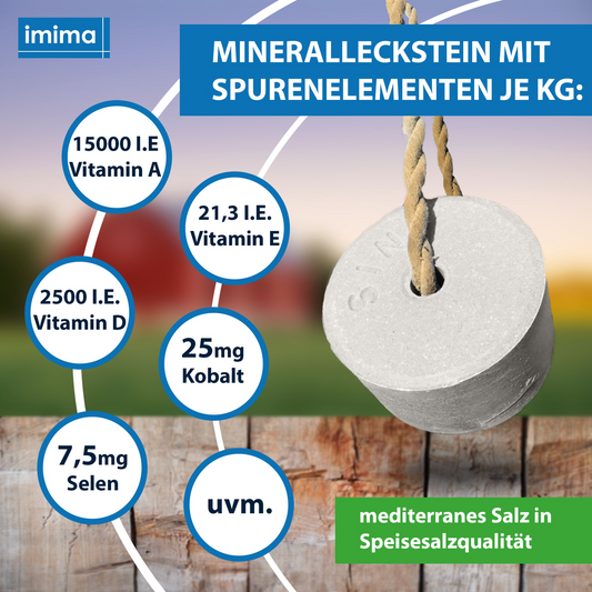 MultiVitamin BRONCHIAL Mineraalliksteen, 3kg