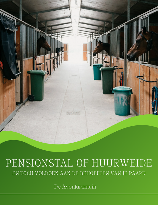 E-book - Pension of huurweide