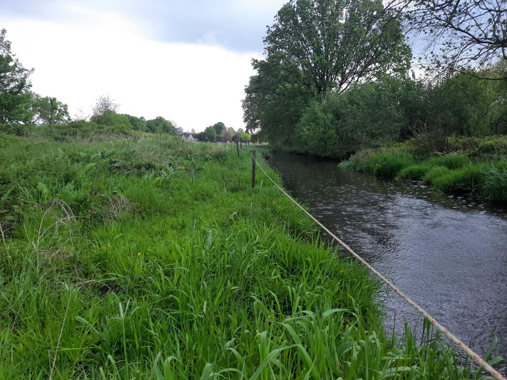 Natuurgebied rondom de Molenbeek in Vierlingsbeek  - Workshop Equihabitat Hulder 10