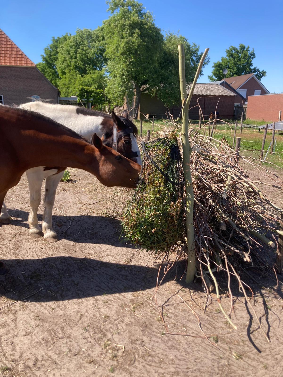 Privérondleiding Avonturentuin