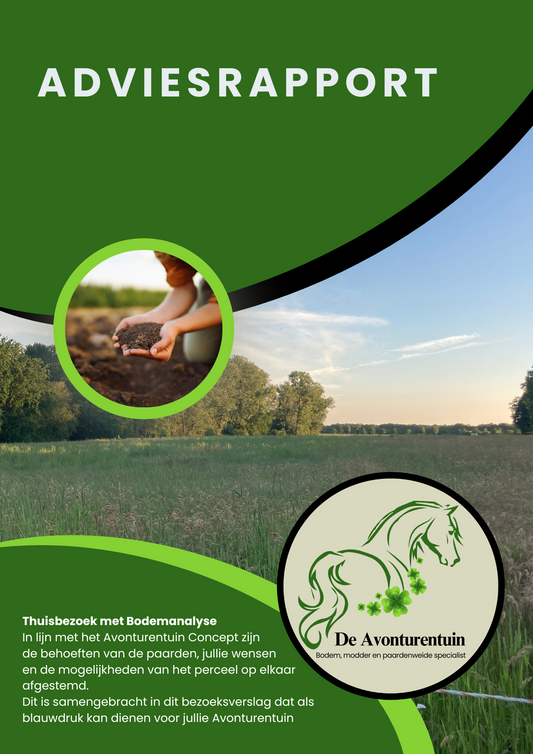 Gedetailleerd adviesrapport