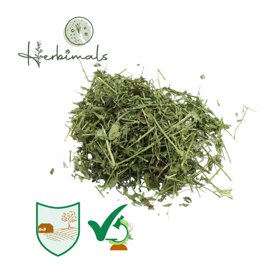 Herbimals Luzerne - grof gehakseld