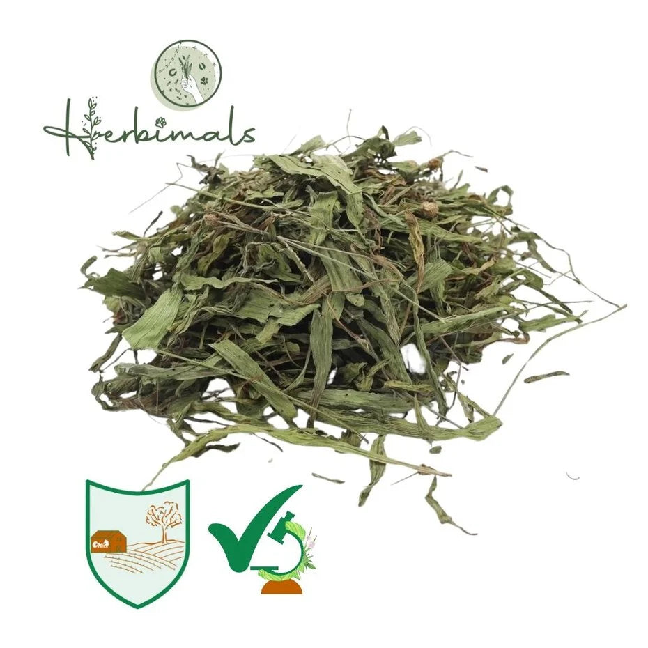 Herbimals Smalle weegbree - grof
