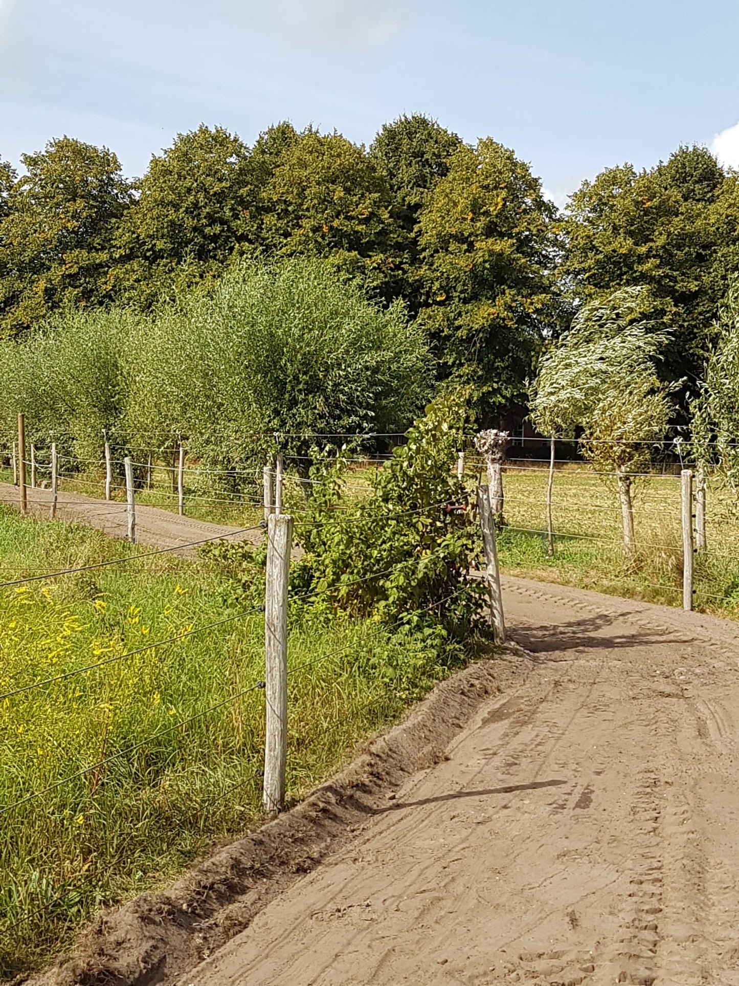 Landschappelijk inpassingsplan